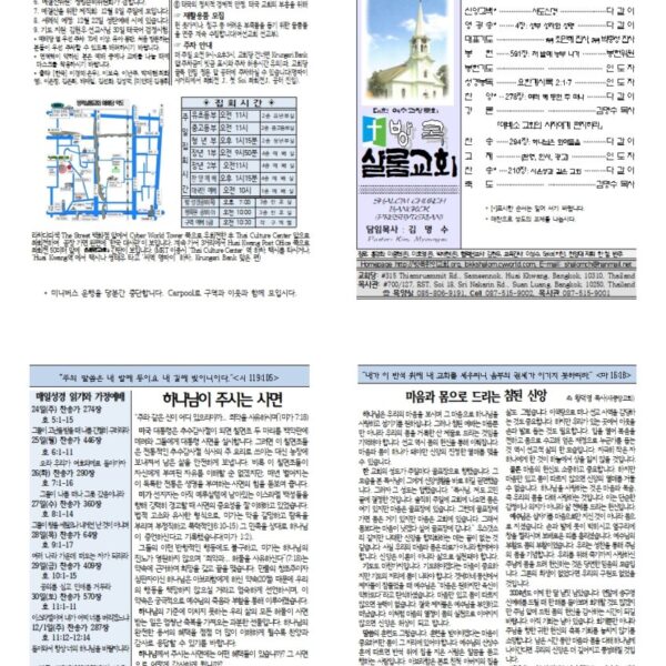 11월 넷째 주일 주보